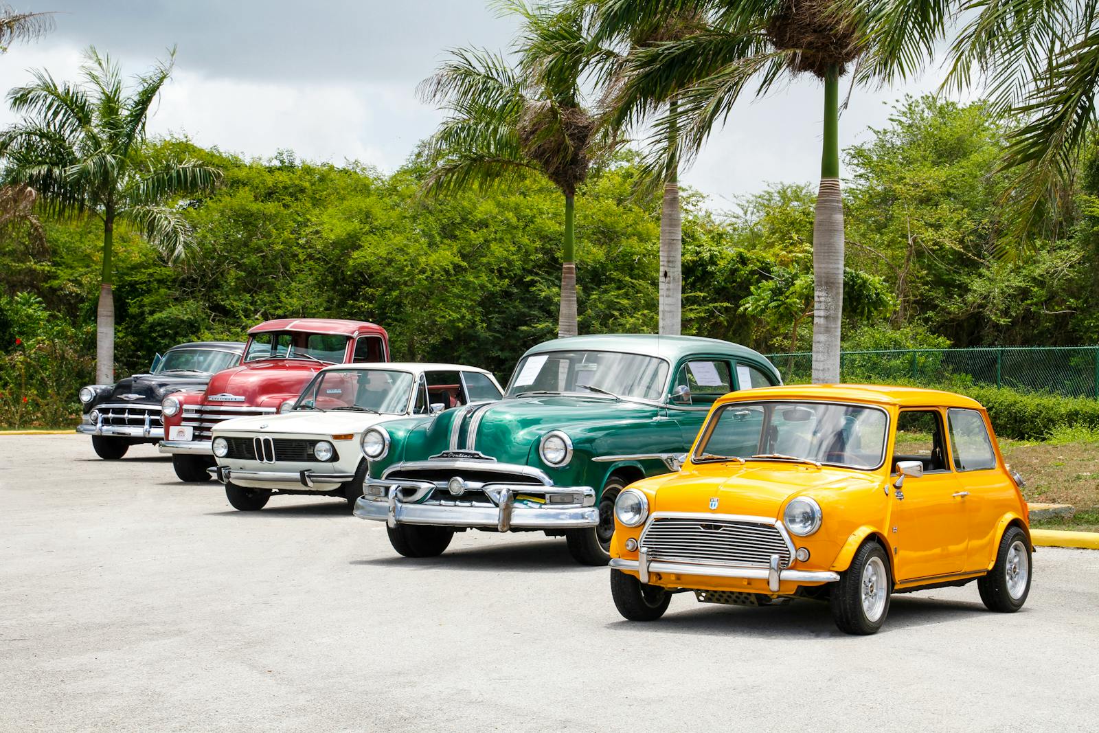 A lineup of vintage cars parked outdoors surrounded by palm trees on a sunny day.